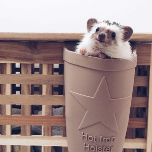 Holster Brands + Mr. Pokee